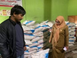 BUMDes Prospek Mandiri Transformasi Layanan Masyarakat Melalui Inovasi Digital di Wajok Hilir