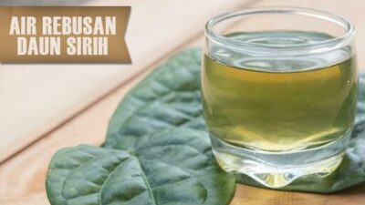 Catat! Ini 5 Manfaat Minum Air Rebusan Daun Sirih Bagi Kesehatan