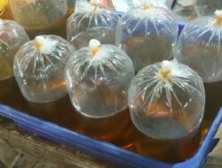 Harga Minyak Goreng Curah Masuk Kategori tidak Aman, Ini Penyebabnya