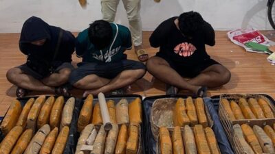 Polisi Tangkap Pengedar Narkoba di Jaktim, 41 Kg Ganja Disita