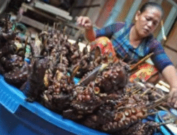 NTB Dorong Pengelolaan Perikanan Gurita yang Berkelanjutan di Selat Alas