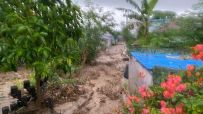 Banjir Terjang Maluku Utara dan Palu, BNPB Imbau Warga Tetap Waspada