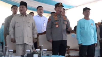 Panen Raya Jagung Kuartal II Capai 2,54 Juta Ton, Kalbar Catat Produksi Signifikan