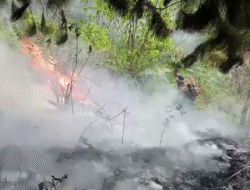 Rentetan Bencana di Pertengahan Agustus: Karhutla Landa Tiga Provinsi dan Banjir Renggut Korban Jiwa