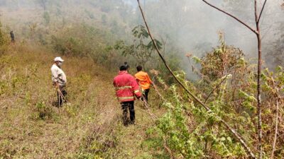 BNPB Catat Enam Bencana Terjadi Dalam 24 Jam, Termasuk Banjir dan Kebakaran Lahan