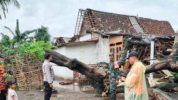 Lima Rumah Rusak Berat, Angin Puting Beliung Terjang Desa Banyuputih Situbondo