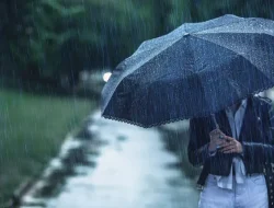 Peringatan Dini BMKG: Waspada Hujan Lebat Berpetir di Kota Besar dan Ancaman Karhutla di Kaltim