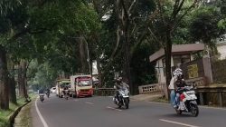 Jalur Bandung-Cianjur Kembali Normal, Polres Cianjur Ingatkan Pengendara Waspadai Pohon Tumbang