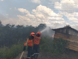 Lima Tewas di Deli Serdang, BNPB Rilis Update Rentetan Bencana Alam Awal April