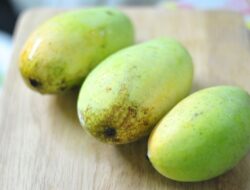 Miliki Rasa Manis, Ini Lima Manfaat Buah Mangga Bagi Kesehatan