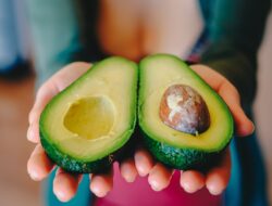 Ini 4 Manfaat Biji Alpukat Bagi Kesehatan Sekaligus Cara Pengolahannya
