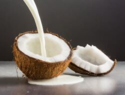 Ini 5 Manfaat Santan Kelapa Bagi Kesehatan, Tapi Jangan Berlebihan