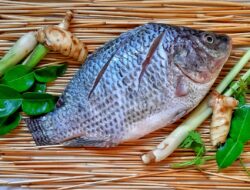 Selain Ikan Nila, Ini Sederet Ikan Air Tawar Yang Bermanfaat Bagi Kesehatan
