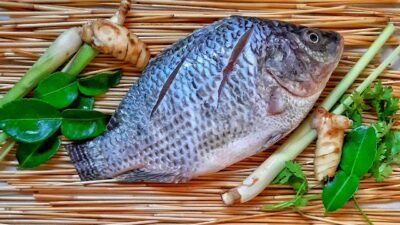 Selain Ikan Nila, Ini Sederet Ikan Air Tawar Yang Bermanfaat Bagi Kesehatan