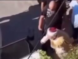 Berdoa untuk Mendiang Ismail Haniyah, Imam Masjid Al-Aqsha Syeikh Ikrimah Sabri Ditangkap Israel