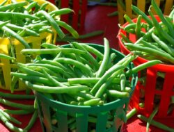 Ini Lima Manfaat Kacang Panjang Bagi Kesehatan