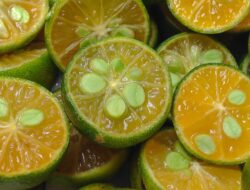 Jangan Dibuang, Ini Sederet Manfaat Potensial dari Biji Jeruk