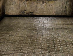 Jarang Diketahui, Ternyata Ini Dampak Jamur Hitam bagi Kesehatan