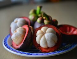 Ini Lima Manfaat Dahsyat Konsumsi Buah Manggis