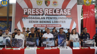 Polri dan Bea Cukai Gagalkan Penyelundupan Benih Lobster Senilai Rp15,1 Miliar