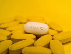 Modus Jualan Roti Gerobakan, Pria di Bogor Diciduk Polisi Karena Edarkan Ratusan Obat Keras