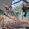 Plafon Lapuk, Dua Ruang Kelas SDN Ciganas Sukabumi Ambruk Jelang Ujian