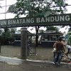 Bandung Zoo Belum Ada Pengelola Baru, BBKSDA Jabar Siapkan Opsi Translokasi Satwa Secara Bertahap