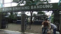 Bandung Zoo Belum Ada Pengelola Baru, BBKSDA Jabar Siapkan Opsi Translokasi Satwa Secara Bertahap