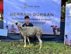 Yayasan AUN Distribusikan Ribuan Hewan Qurban untuk Puluhan Ribu Penerima Manfaat di 4 Provinsi
