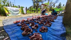 Program Kurban Bahagia Laznas Yakesma Jangkau 100.890 Penerima Manfaat di 34 Provinsi Hingga Luar Negeri