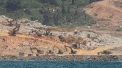 Ekosistem Pulau Penebang Terancam, Aktivitas Smelter Bauksit PT DIB Dikritik