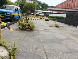 Soal Penebangan Pohon Ilegal di Bandung, Wakil Ketua MPR Eddy Soeparno Minta Sanksi Tegas