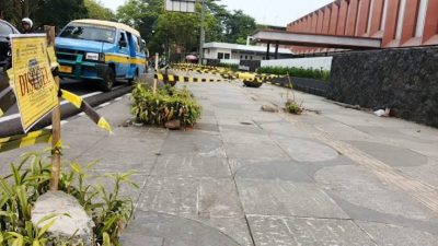 Soal Penebangan Pohon Ilegal di Bandung, Wakil Ketua MPR Eddy Soeparno Minta Sanksi Tegas